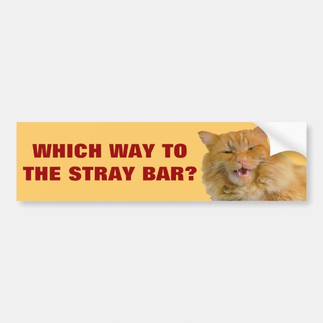 Autocollant De Voiture Quel chemin vers le bar Stray? (Devant)