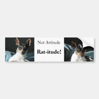 Autocollant De Voiture Rat-itude !