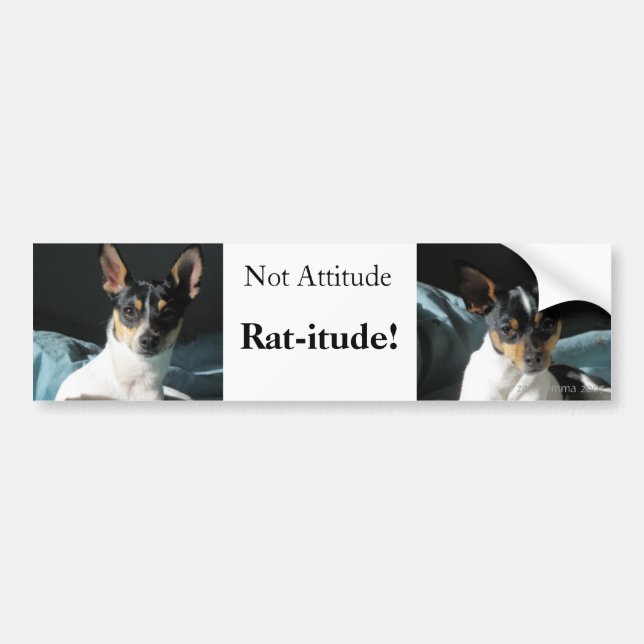Autocollant De Voiture Rat-itude ! (Devant)