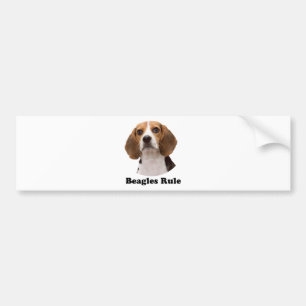 Autocollant De Voiture Règle de beagles
