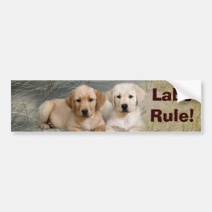 Autocollant De Voiture Règle de chiots d'adhésif pour pare-chocs de
