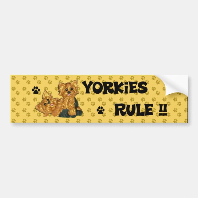 Autocollant De Voiture Règle de Yorkies ! ! Adhésif pour pare-chocs (Devant)