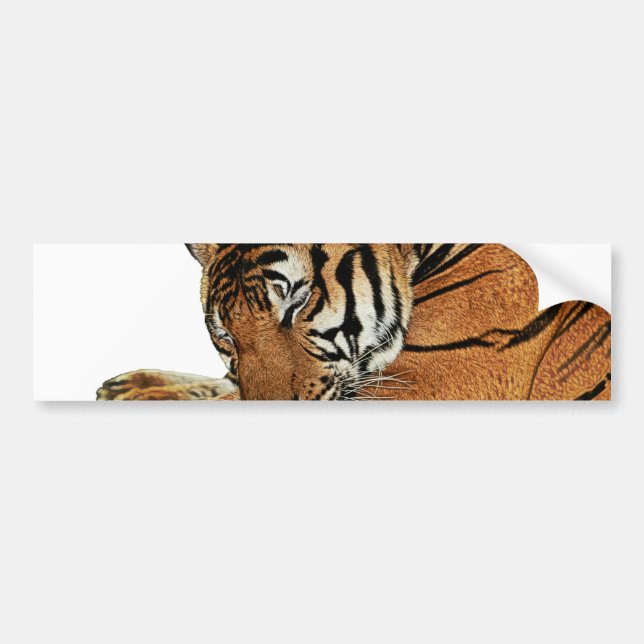 Autocollant De Voiture Repose du tigre (Devant)