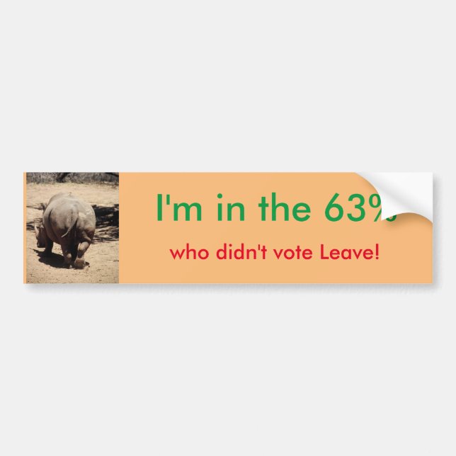 Autocollant De Voiture Restez dans l'adhésif pour pare-chocs d'UE (Devant)