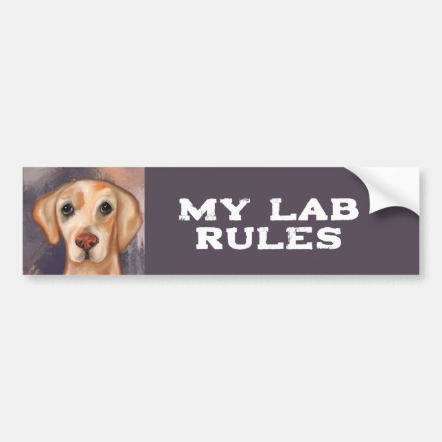 Autocollant De Voiture Retriever du Labrador    (Devant)