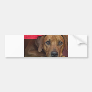 Autocollant De Voiture rhodesian-ridgeback