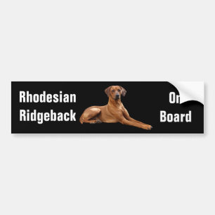 Autocollant De Voiture Rhodesian Ridgeback bumpersticker