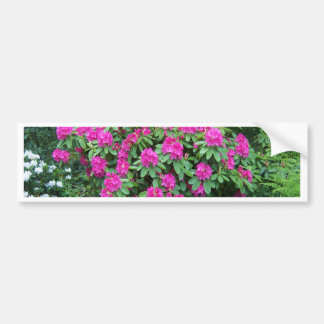 Autocollant De Voiture Rhododendron