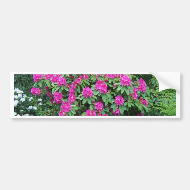 Autocollant De Voiture Rhododendron (Devant)