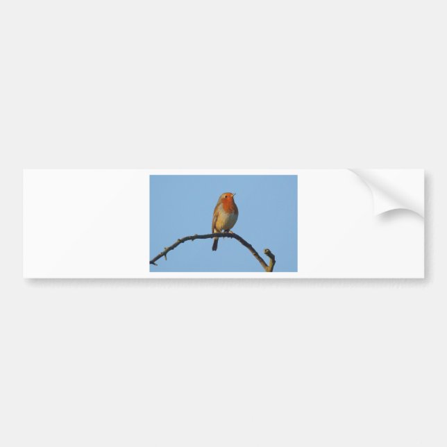 Autocollant De Voiture Robin (Devant)