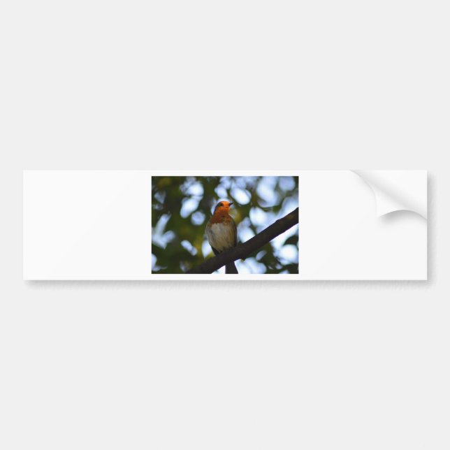 Autocollant De Voiture Robin (Devant)