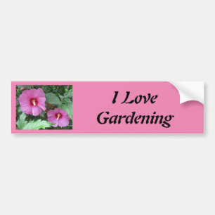 Autocollant De Voiture Rose rose de Sharon Photo I Love Gardening