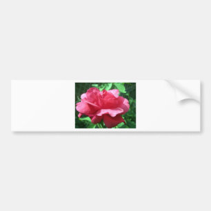 Autocollant De Voiture Rose rouge