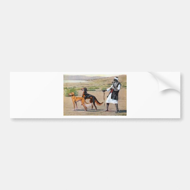 Autocollant De Voiture saluki (Devant)