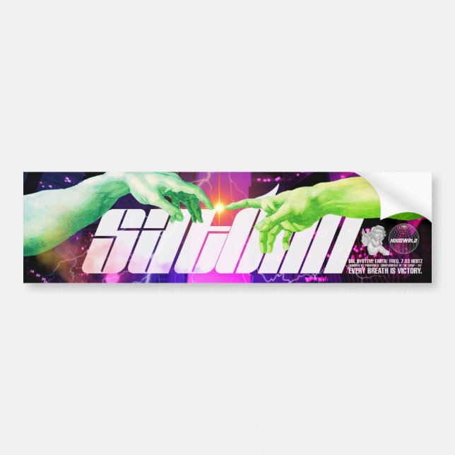 Autocollant De Voiture satomi moto "2e contact" (Devant)