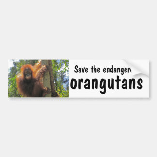 Autocollant De Voiture Sauvez les orangs-outans mis en danger