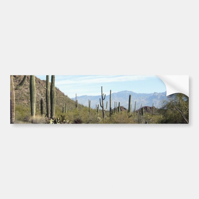 Autocollant De Voiture Scène 02 de désert de Sonoran (Devant)
