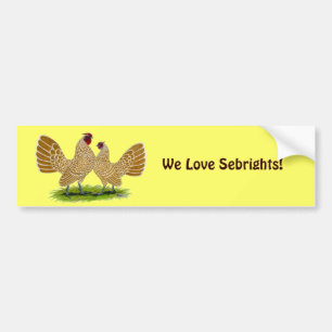 Autocollant De Voiture Sebrights Buff Laced