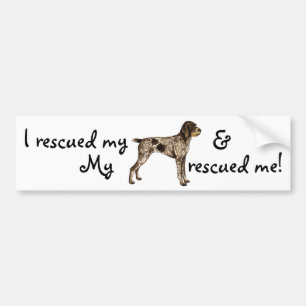 Autocollant De Voiture Secourir un pointeur À poils durs allemand