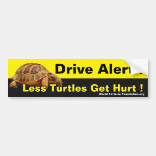 Autocollant De Voiture Sécurité Bumpersticker de tortue