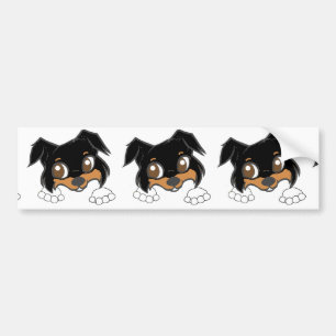 Autocollant De Voiture Shetland Sheepdog Black Tri Peeking Carton
