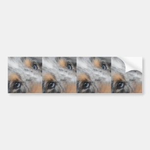 Autocollant De Voiture Shetland Sheepdog Blue Merle Eyes