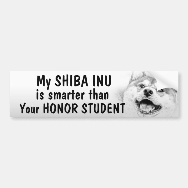 Autocollant De Voiture Shiba Inu - plus futé que l'étudiant d'honneur - (Devant)