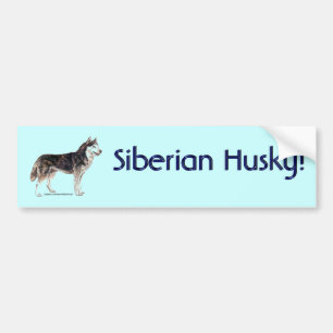 Autocollant De Voiture Sibérien Husky !