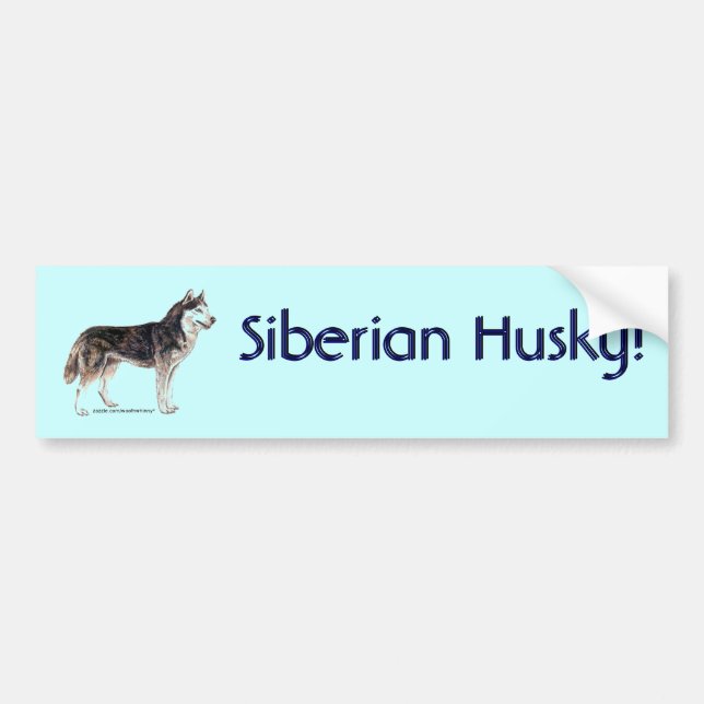Autocollant De Voiture Sibérien Husky ! (Devant)