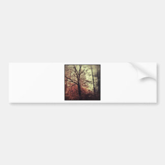 Autocollant De Voiture Silhouettes d'arbre de chute d'automne