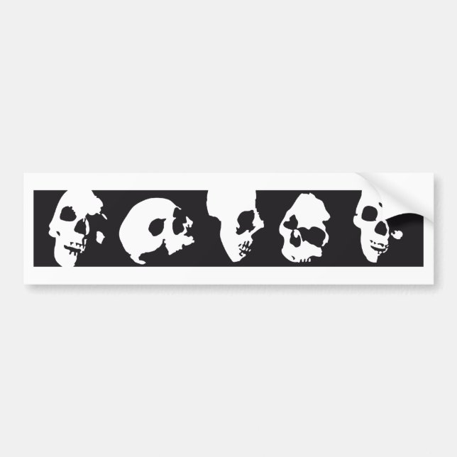 Autocollant De Voiture skull (Devant)