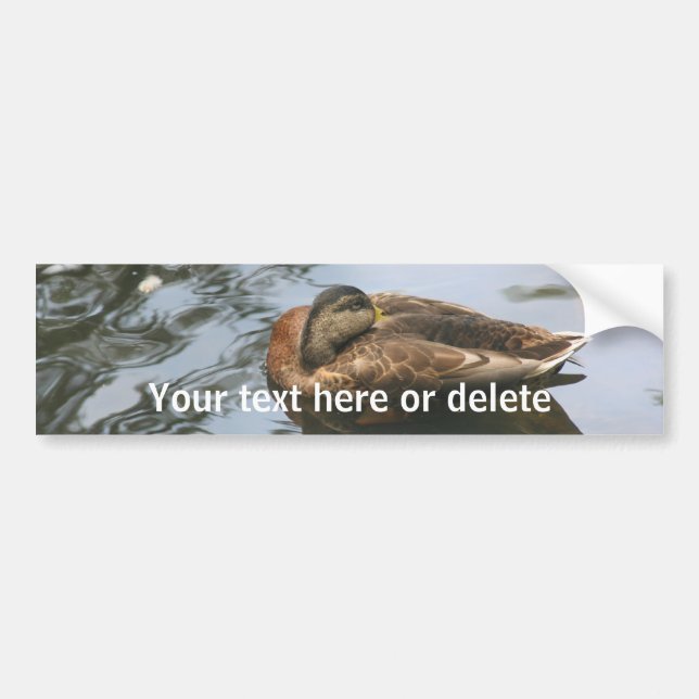 Autocollant De Voiture Sleepy Duck Nature Personalized (Devant)