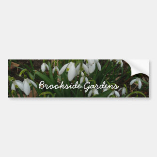 Autocollant De Voiture Snowdrops I