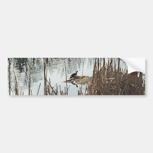 Autocollant De Voiture Solstice d'hiver (Devant)