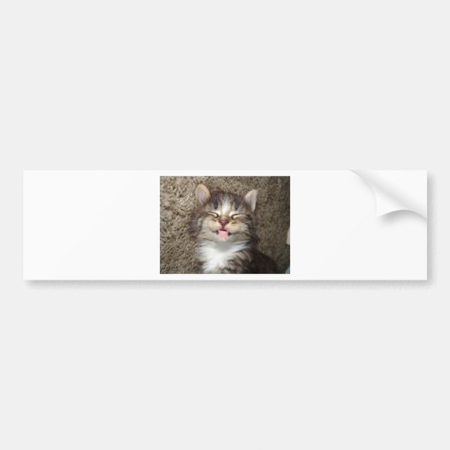 Autocollant De Voiture Sourire de chaton (Devant)