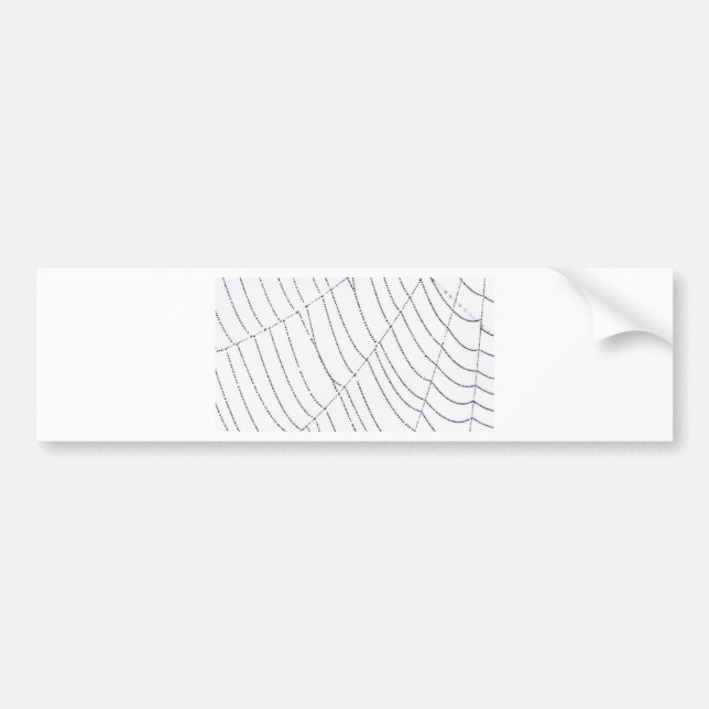 Autocollant De Voiture Spider Web (Devant)