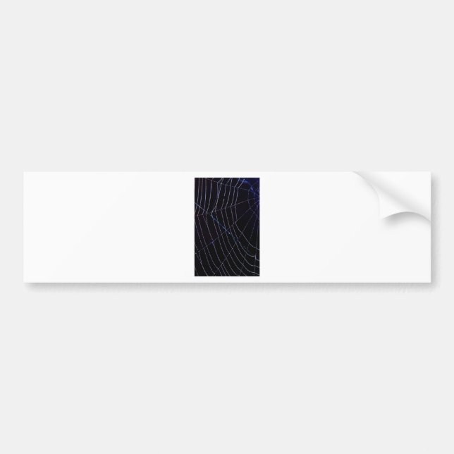 Autocollant De Voiture Spider Web (Devant)