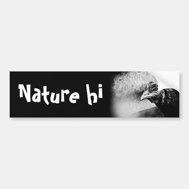 Autocollant De Voiture spiritueux et poulets (Devant)