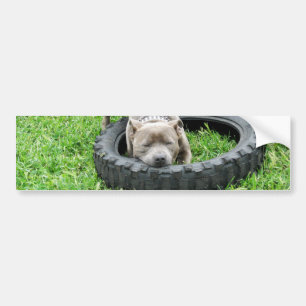 Autocollant De Voiture Staffordshire Bull Terrier, One Chomp,