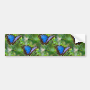 Autocollant De Voiture Sticker Bleu Butterfly
