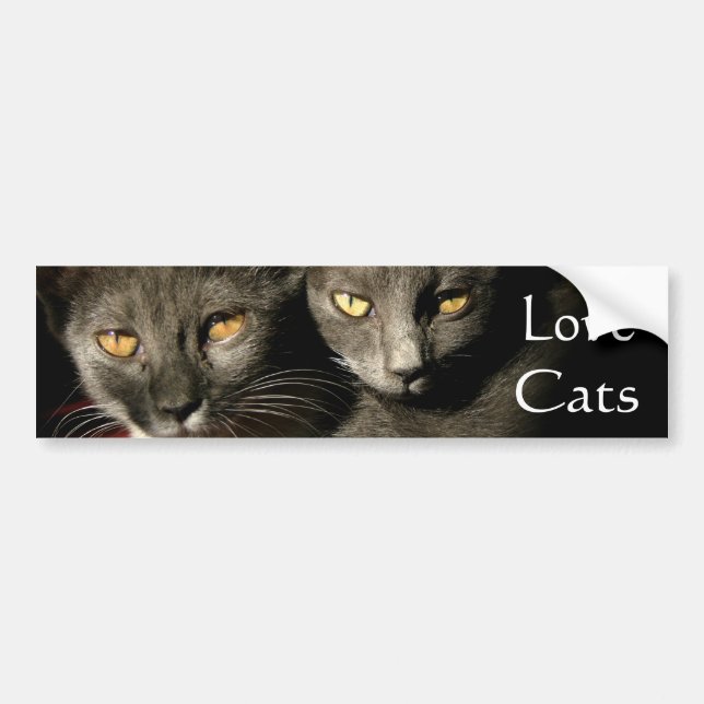 Autocollant De Voiture Sticker de pare-chocs Love Cats (Devant)