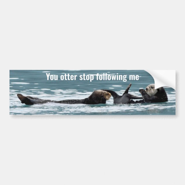 Autocollant De Voiture Sticker pare-chocs de loutres (Devant)