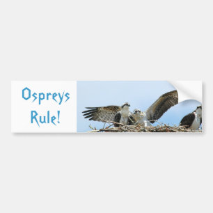 Autocollant De Voiture Sticker pare-chocs de règle Ospreys