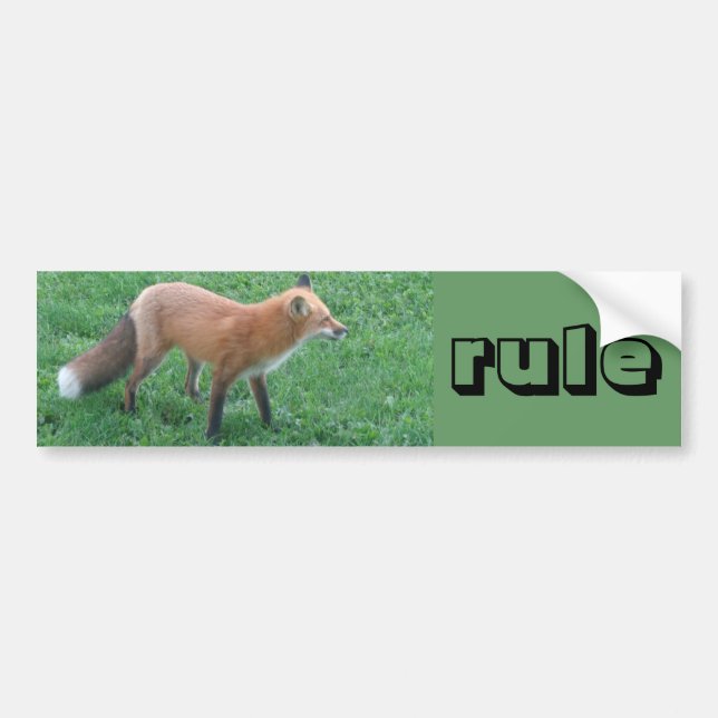 Autocollant De Voiture sticker pare-chocs Fox (Devant)