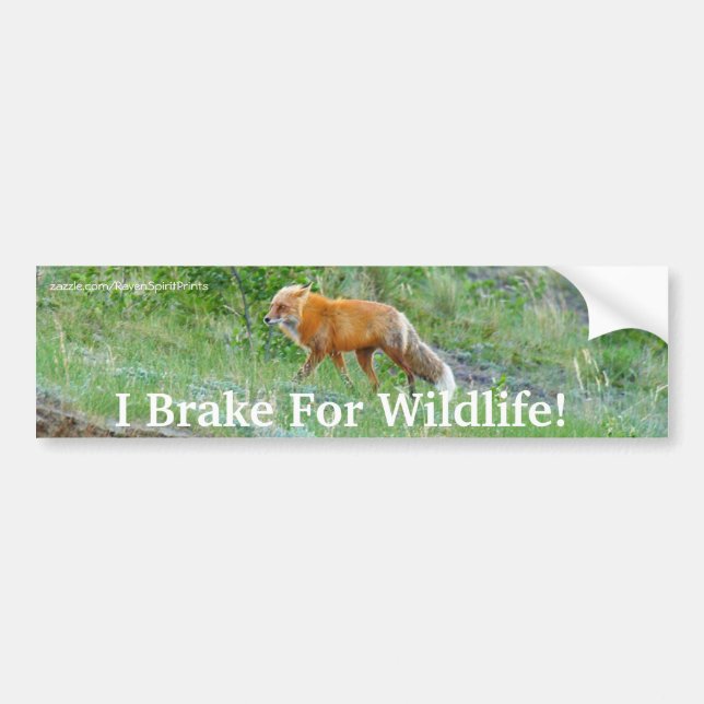 Autocollant De Voiture Sticker pare-chocs Fox Wildlife Protection (Devant)