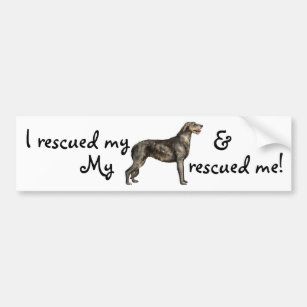Autocollant De Voiture Sticker pare-chocs irlandais secourt Wolfhound