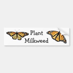 Autocollant De Voiture Sticker pare-chocs - Milkweed Plante