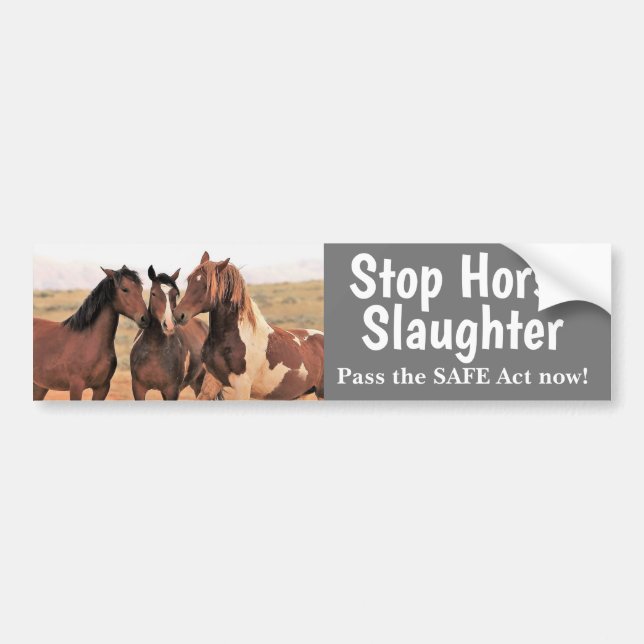 Autocollant De Voiture Sticker pare-chocs Stop Horse (Devant)