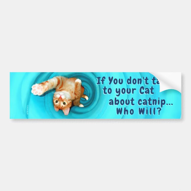 Autocollant De Voiture Sticker pour pare-chocs Kitty Inspirations (Devant)