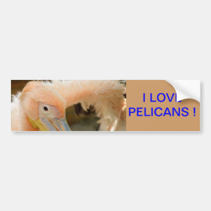 Autocollant De Voiture Sticker pour pare-chocs Pelican